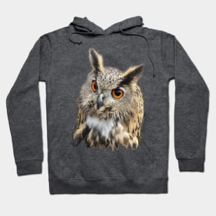 Glowing eyes Hoodie